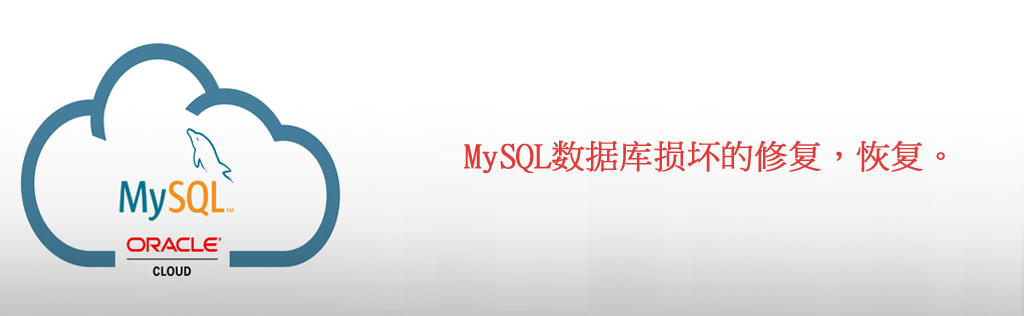 信阳市速全网络科技有限公司